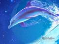 KAGAYA Celestial Exploring