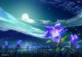 madonna blue KAGAYA STARS