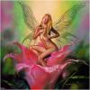 boris vallejo213