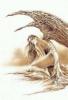 luis royo098