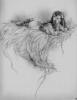 luis royo176