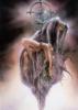 luis royo255